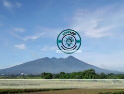 Bikin Betah! Intip Spot Tersembunyi di Pasir Jaya untuk Lihat Gunung Salak