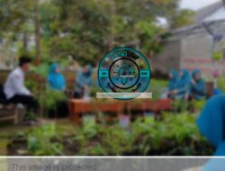 Bidik Juara Jabar! PKK Tasikmalaya ‘Gedor’ Kesiapan Desa Kamulyan-Kalimanggis
