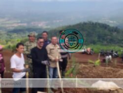 Perkuat Ketahanan Pangan, Ciamis Mulai Garap Potensi Sorgum di Panjalu