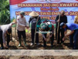 Polres Ciamis Tanam Jagung Serentak di Maleber, Dukung Swasembada Pangan Nasional
