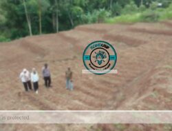 Polres Garut Sulap Lahan Tidur Jadi Kebun Jagung 1 Hektare di Sukawening